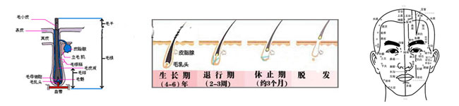 深圳美發(fā)學校